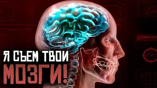 ЗОМБИ ЗАПОЛОНИЛИ МИР | Plague Inc: Evolved