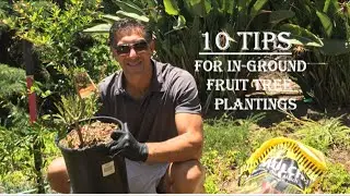 10 Tips For In-Ground Fruit Tree Plantings -- Wonderful Pomegranate