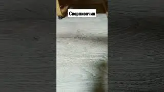 Анимация ножа скорпион