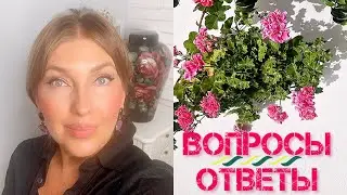 Приобретаю одно и тоже 🤷‍♀️Какие украшения для пляжа?! #katyaru #вопрос #ответ