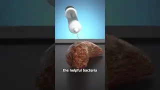 Why does this exist