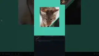 imag card 