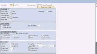 SAP SD - Understanding Condition Techniques Part 4