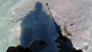 Амелькина грива    р  Широкая оз Чаны 31 03 2020