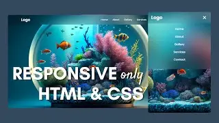 How to Create Responsive Navbar using HTML & CSS