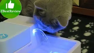 ✔ Pet Water Fountain. Поилка для кошки с Gearbest