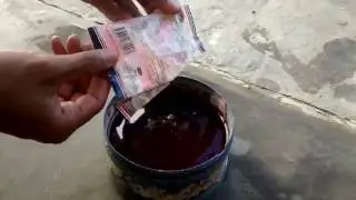 Cara ampuh mengatasi Rayap Kayu, Exterminate termites