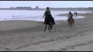 RAWS beach, snow & randoms