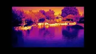 Japanese garden in downtown Phx. #2
