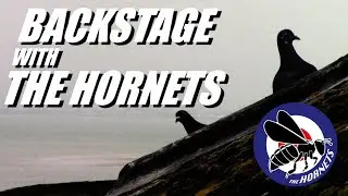 Backstage With The Hornets (EPISODE: 3 March 2024)