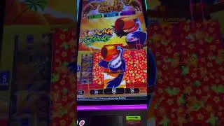 Bonus Compilation #slots #slotmachine #casino