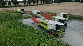 przejazd kombajnów - czyli szarańcza w Cieszymowie