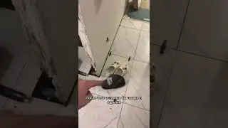 Челлендж жизнь мастера отделочника