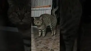это кто вообще токой? 