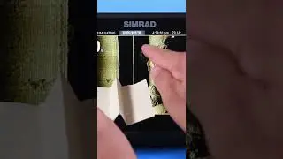 FISHFINDER | What is at the bottom on a SideScan?