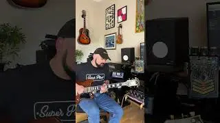Beetronics - Octahive #guitar #guitarsolo #viral #gibson #beetronics #fuzz #guitarist