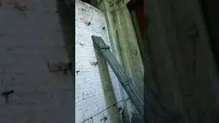 нашли заброшку по среди леса видео уже в канале