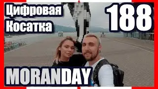 🇨🇦 Moran Day 188 - Цифровая Косатка