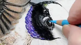 Hummingbird With Honey Bees Pastel Painting Demo