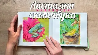 Листалка скетчбука BlackBunny/Обзор скетчбука/Гуашь/Акварель 
