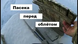 Пасека перед облётом