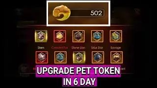 EXCHANGE PET TOKEN IN 6 DAY (600 pet token)  !! Legacy of Discord