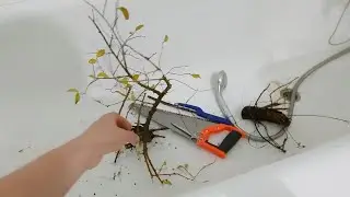История одной 