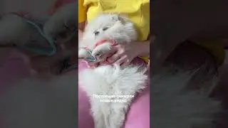 КАК МЫ НАБРАЛИ 1 МЛН ПОДПИСЧИКОВ 😱