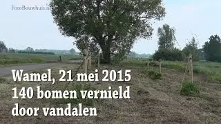 20150521WamelBomenVernield