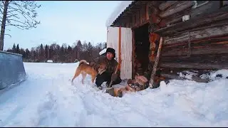 Рыбалка, ловим живца. Закинул Донки на щуку. Начал приучать собаку к Бурану.