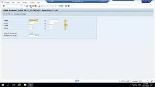 Sales order and Data element changes in S41909