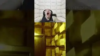 шизофрения 