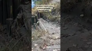 Не всегда с первого раза в дырочку попадаешь 😹 Мужчины поймут 🤝