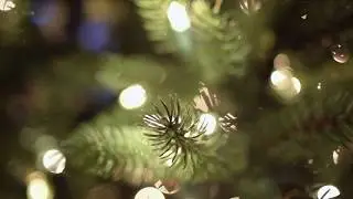 Christmas Tree Bokeh| Free HD Stock Footage/Background