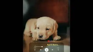 ||💕Aaro aaro... Ring master movie song new whatsapp status|FeeltheSoul💕||