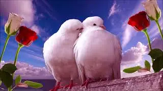 I and U  (just) U and I - Anette Pinto & Nandu Bhende (Remastered JT)