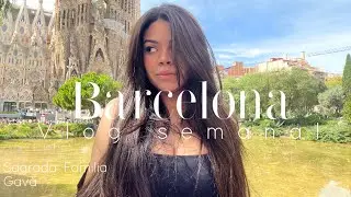 BARCELONA - Vlog semanal 2 -Mercado de Gavà | mi experiencia con mucha gente.