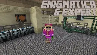 Bees, Power, And Machine Automation: Enigmatica 6 Expert Minecraft 1.16.5 LP EP #13