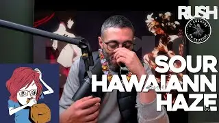 JE TESTE LA 🛢️ SOUR HAWAIANN💐 HAZE BY LE CHANVRE DU GRIFFOUL - 🏁 READY . . SET . . GO 🏎️