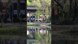 Moscow Central Diameters (MCD) | Московские центральные диаметры (МЦД)