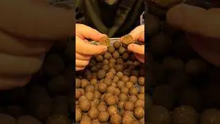 #shorts бойлы для карпа дома 🍬 #карпфишинг #carpfishing #fishing #рыбалка #бойлы #бойлостроение