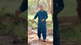Garden of Sahabi in Madinah | Sayyed Salman Farsi (رضي الله عنه) Ziyarat in Madinah b#shorts