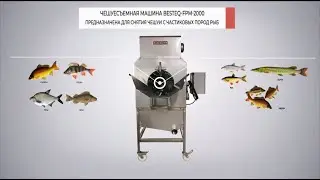 Чешуесъемная машина BESTEQ FPM 2000