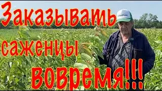 Заказывать саженцы вовремя: Полезные советы и рекомендации от эксперта!