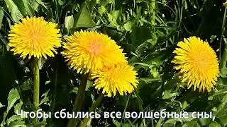 Первый день весны музыкальное поздравление-1 марта