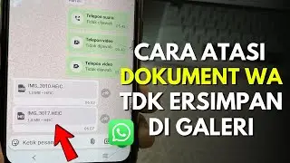 How to Save Photos, Videos, and Documents from WhatsApp to the Gallery