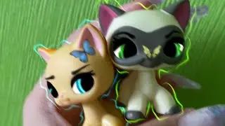 Lps unboxing #29 / AliExpress / Авито /