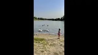 How to enjoy your sunny day ? #summer #berlin #heatwaves #pool #shorts #lake #water #fun #sun