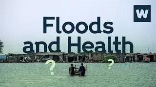 The unexpected health risks of flooding | Wellcome