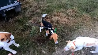 Охота 